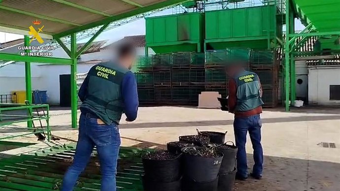 Imagen de unos agentes de la Guardia Civil.