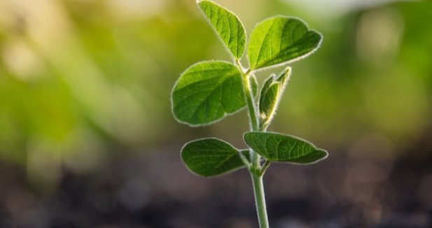 EpAgro - Agricultura