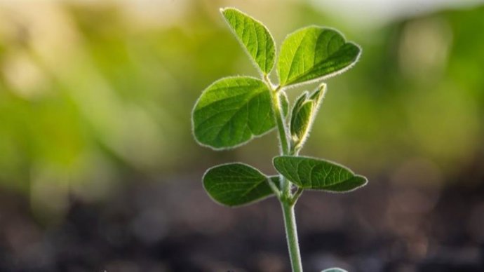 Las ayudas se han abonado