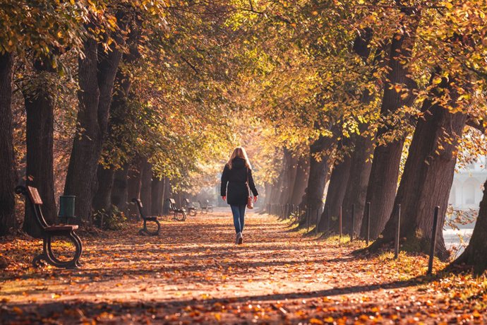 Archivo - Mujer paseando en un parque en otoño.