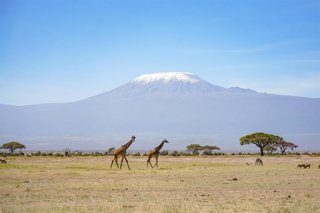Archivo - Una vista general desde un parque natural en Kenia del monte Kilimanjaro, en Tanzania (archivo)