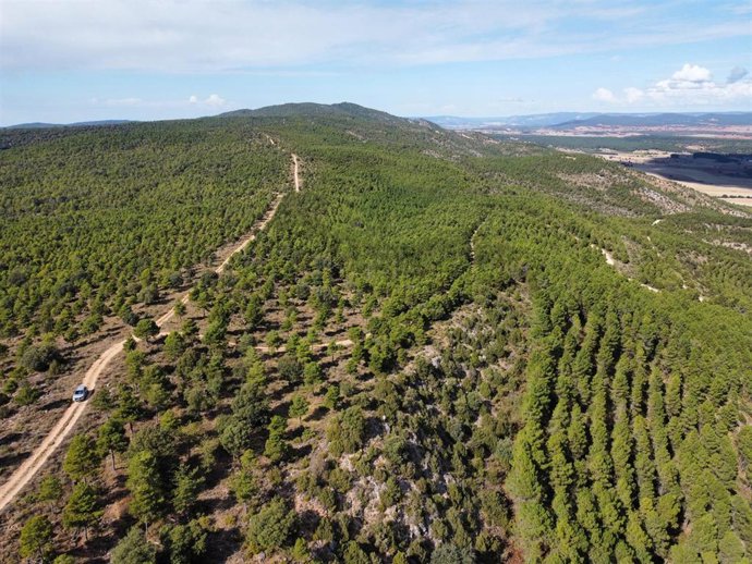 Archivo - Vista de la Sierra donde se instalará Toroverde.