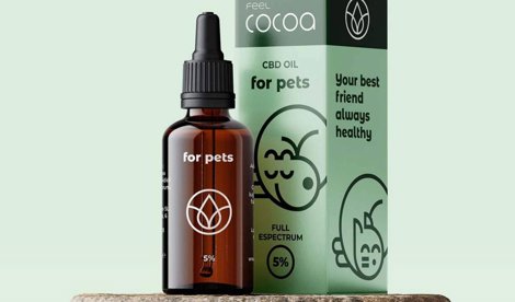 Comunicados Sociedad