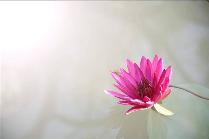 Muriel Atalanta impulsa el bienestar emocional con coaching personalizado y técnicas de intervención estratégica