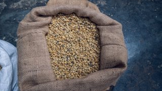 Ruta del café en Costa Rica: explorando el origen de uno de los mejores cafés del mundo