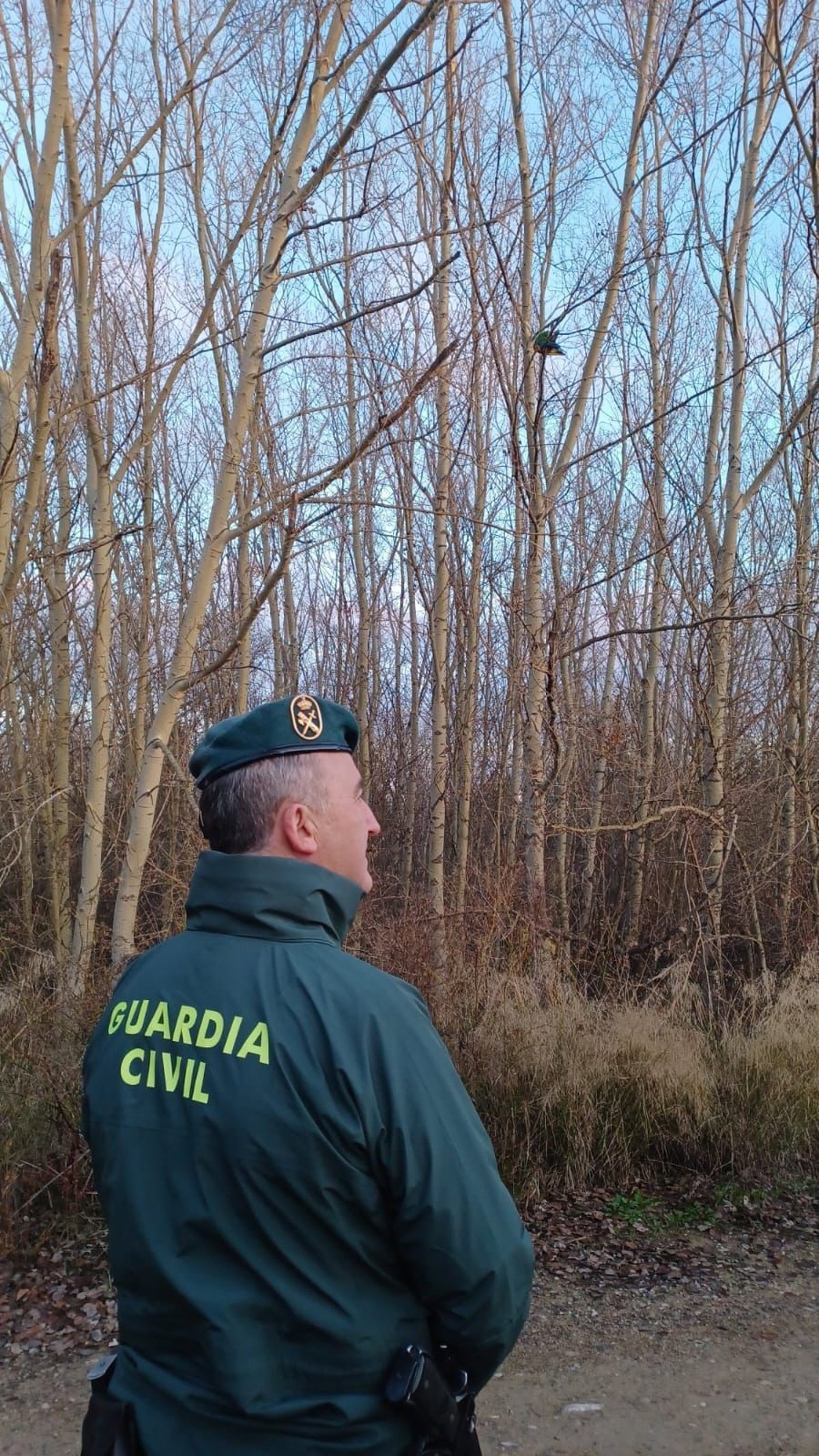 La Guardia Civil recupera en Rincón de Soto los guacamayos sustraídos el 28 de noviembre