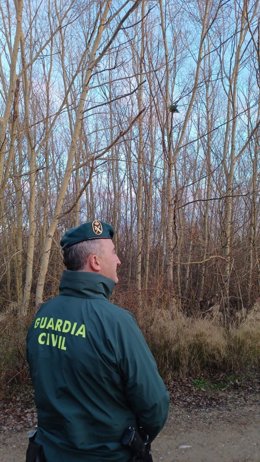 La Guardia Civil recupera en Rincón de Soto los guacamayos sustraídos el 28 de noviembre