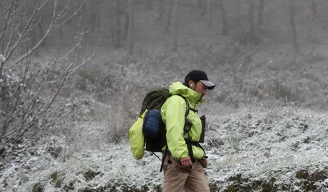 notibrasil política