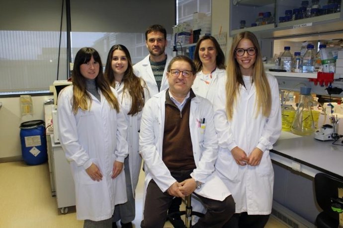 Científicos del Centro de Investigación Biomédica de La Rioja (CIBIR) han liderado un estudio que ha identificado un nuevo mecanismo implicado en la inflamación pulmonar severa