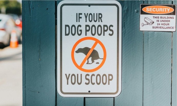 La solución más antigua (y efectiva) para que perros y gatos no marquen el portal de tu casa o negocio