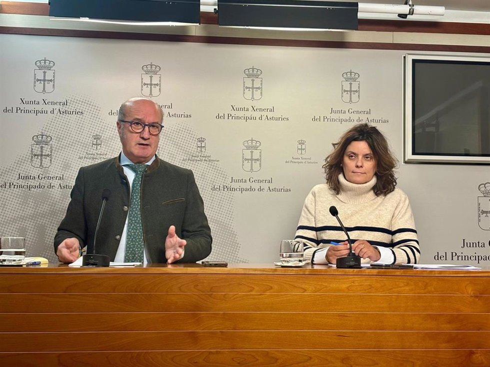 Los portavoces adjuntos del Partido Popular en la Junta General, Luis Venta y Beatriz Polledo.