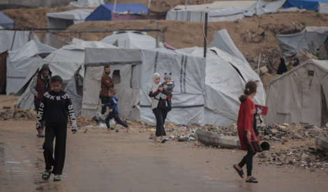 notibrasil sociedade