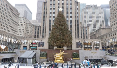 notibrasil política