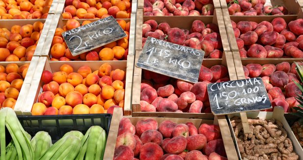 EpAgro - Agricultura