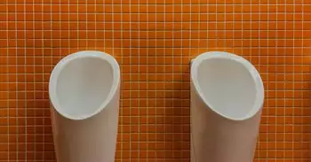 Por qué los japoneses se sientan en el inodoro mirando hacia adelante: la razón te sorprenderá, pero tiene sentido