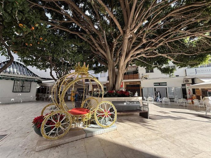 El Ayuntamiento de Estepona refuerza el embellecimiento floral navideño con 23.000 plantas