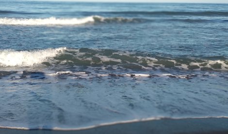 notibrasil política