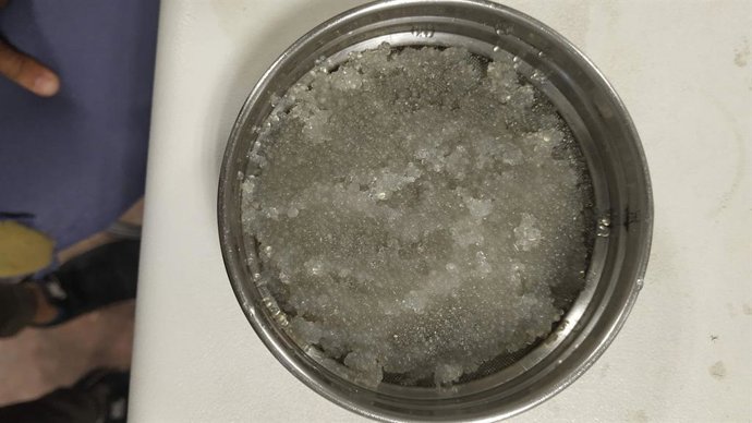 Archivo - Investigadores andaluces obtienen microcápsulas de descartes pesqueros que mejoran los detergentes y piensos acuícolas.