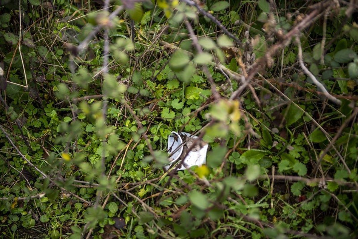 Más de 20 voluntarios caracterizan residuos de basuraleza en tres entornos naturales de La Rioja