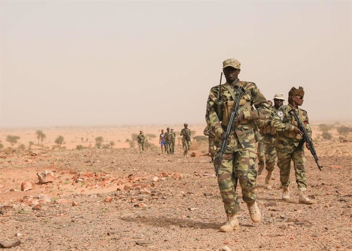 File - Archive image of Chadian soldiers during a military exercise 