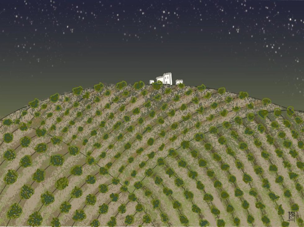 Dibujo de María Requena reconocido como mejor imagen en el VIII Concurso de Relatos sobre Olivar, Aceite de Oliva y Oleoturismo.
