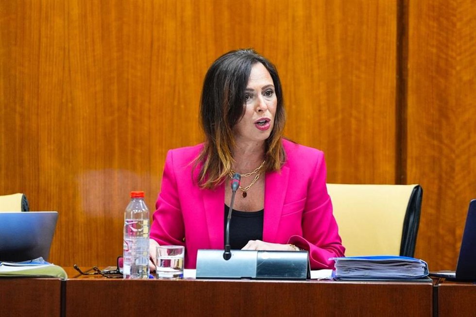 Archivo - Imagen de archivo de la consejera de Fomento, Articulación del Territorio y Vivienda de la Junta de Andalucía, Rocío Díaz.