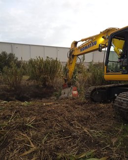 El Ayuntamiento de Jerez de la Frontera (Cádiz) limpia la maleza en accesos a Guadalcacín para evitar el riesgo de inundaciones.