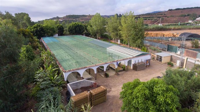 Los viveros de la Diputación de Málaga producen más de 7.500 plantas en 2025