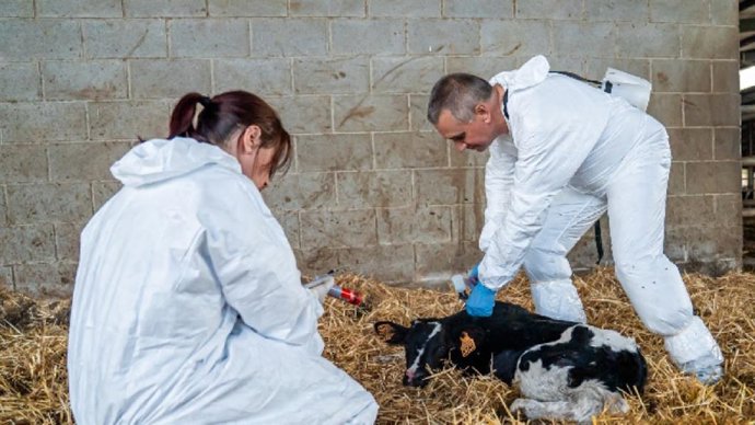 Técnicos durante el control sanitario
