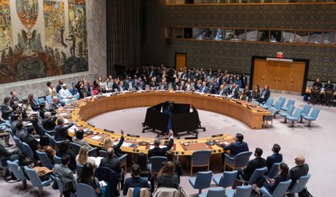 notibrasil sociedade