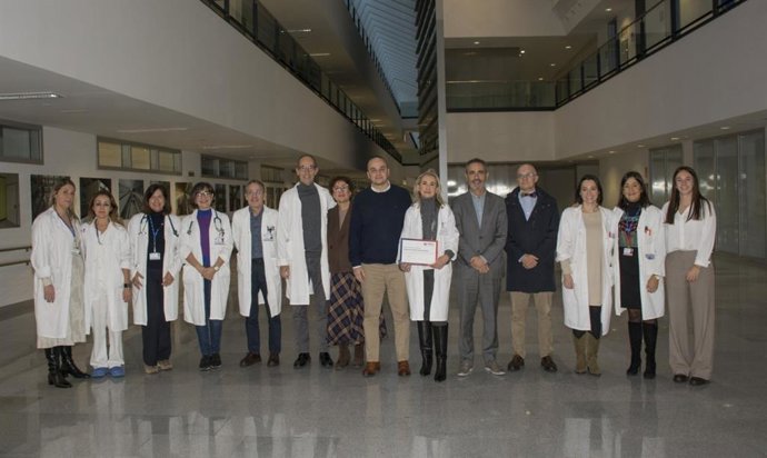 Profesionales participantes en el proyecto.