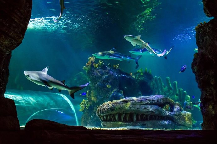 Sea Life Benalmádena