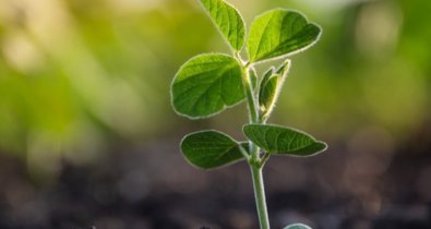 EpAgro - Agricultura