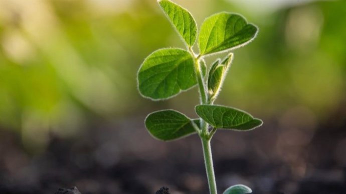 Las ayudas ya están abonadas