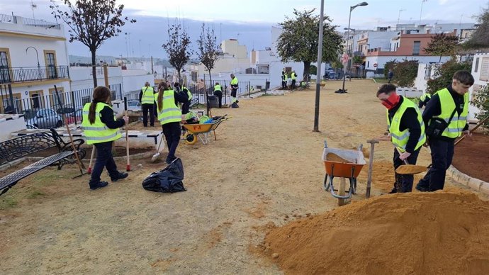 Usuarios del programa ‘Alcalá Emplea en Verde +’ trabajando en la replantación y adecuación de la Plaza de España del municipio.