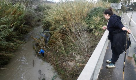 notibrasil política