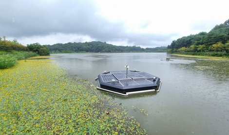 Comunicados Internacional