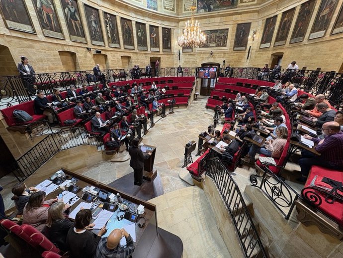 Pleno de las Juntas Generales de Bizkaia
