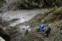 Andalucía suma 20 incidencias más por el temporal y se acerca al medio millar desde el sábado