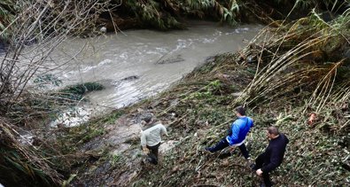 Es Andalucía - Sevilla