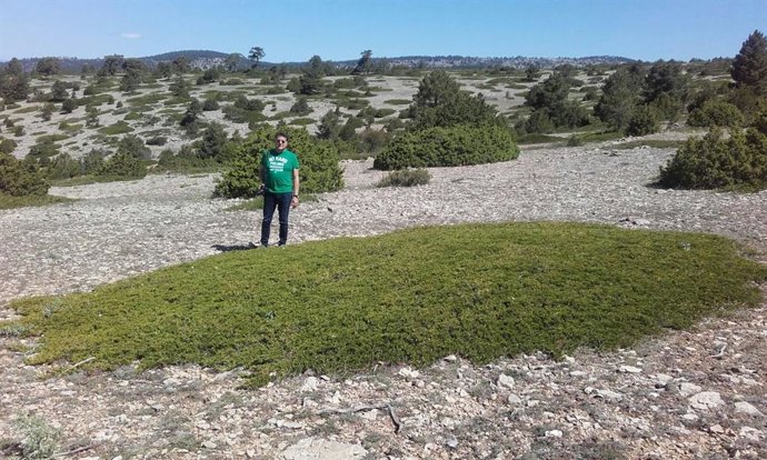 Antoni Ballester en el bosc