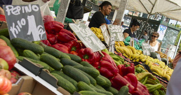 EpAgro - Agricultura