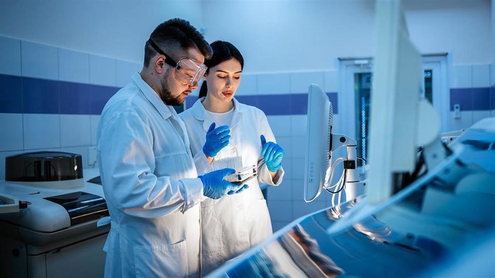 Investigadores