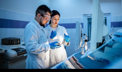 notibrasil sociedade