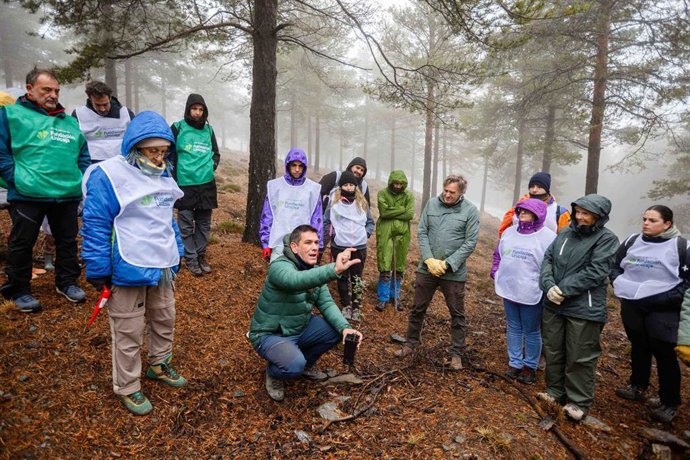 Una jornada de reforestación de Serbal en la Sierra de los Filabres.