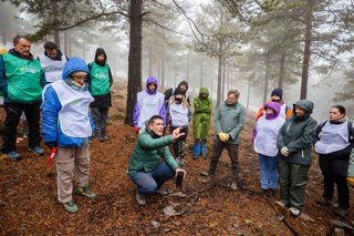 Una jornada de reforestación de Serbal en la Sierra de los Filabres.