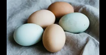 Pocas personas lo saben: ¿cuál es la diferencia entre los huevos blancos y los marrones?