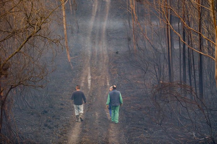 Archivo - Arquivo - Bombeiros trabalham no local do incêndio, 8 de fevereiro de 2024, em Trabada, Lugo, Galícia (Espanha). A Consellería de Medio Rural de Galicia relatou um incêndio florestal ativo no município de Trabada, em Lugo.