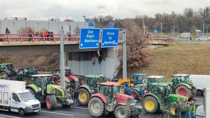 Ramaders catalans pengen un senglar i un cérvol en la C-17 per l'excés de fauna cinegética