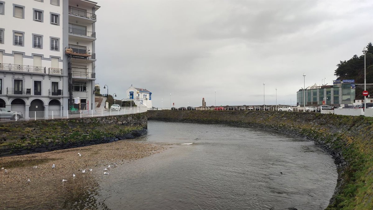 El Ayuntamiento de Valdés detecta dos casos de gripe aviar en patos: cerrado el acceso al río Negro